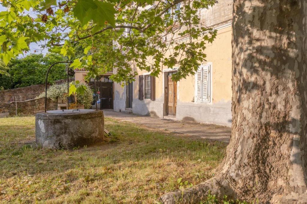 Vistasanlu Leilighet Trieste Eksteriør bilde
